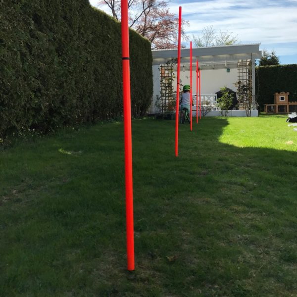 Agility - Bilde 3