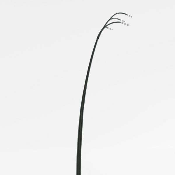 Reed - Bilde 4