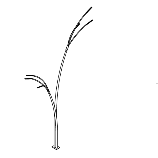 Reed - Bilde 6