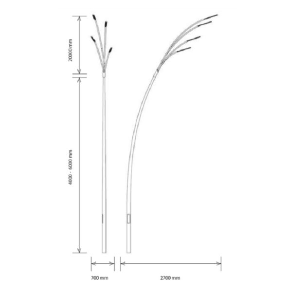 Reed - Bilde 7