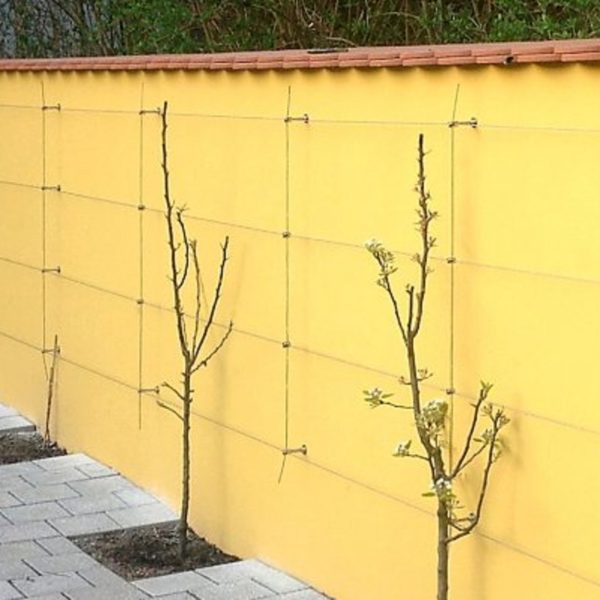 Climber - Bilde 19