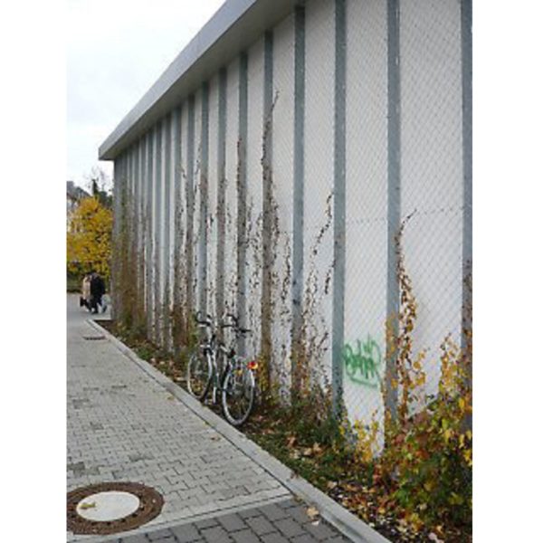 Climber - Bilde 3
