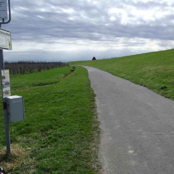 Bikecounter II - Bilde 5