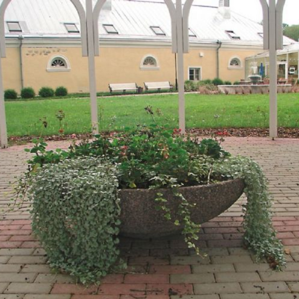 PL9 plantekasse - Bilde 2