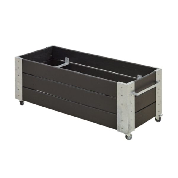 Cubic III
