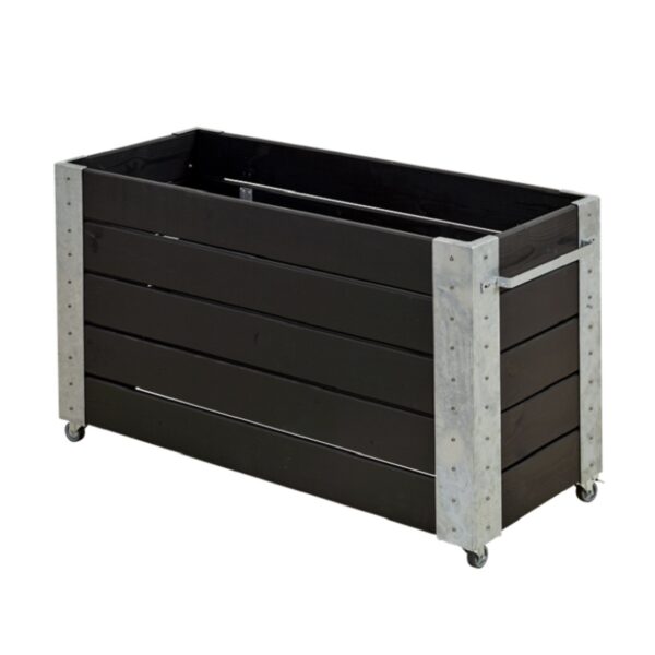 Cubic V