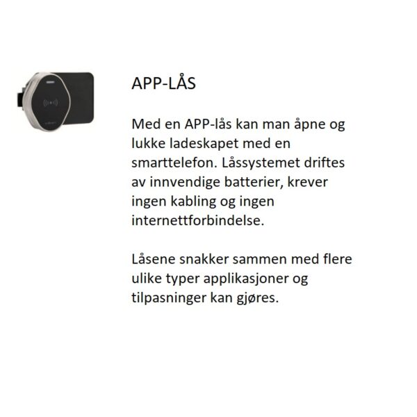 Classic ladeskap - Bilde 7