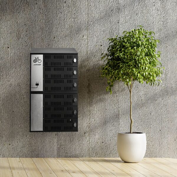 Eco ladeskap