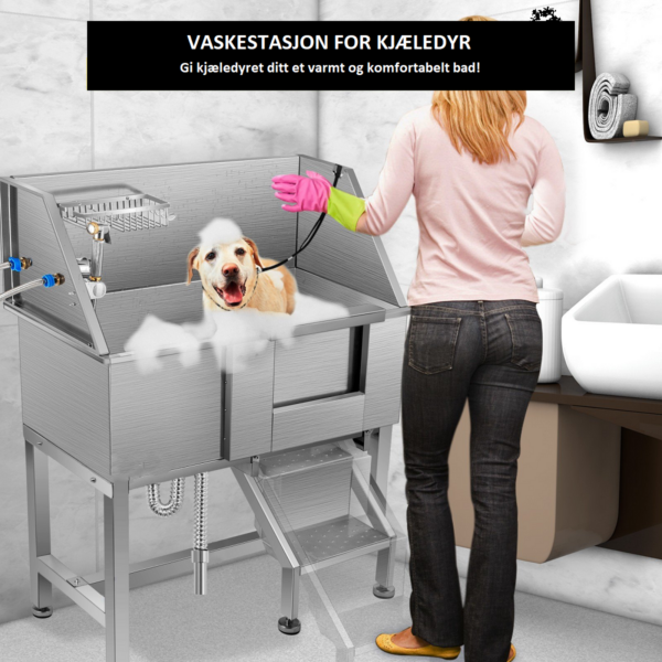 Hundevask I - Bilde 2
