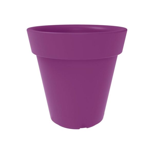 Trendplant - Bilde 9