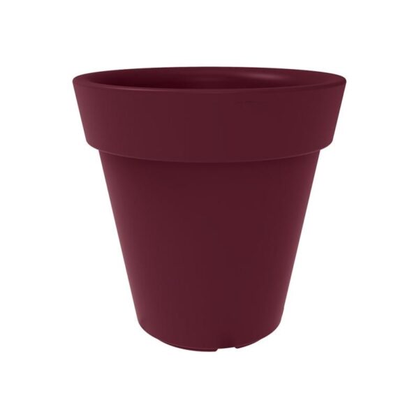Trendplant - Bilde 10