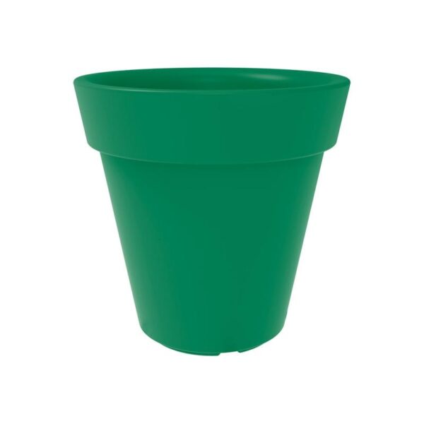 Trendplant - Bilde 14