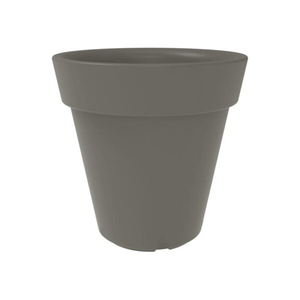 Trendplant - Bilde 17