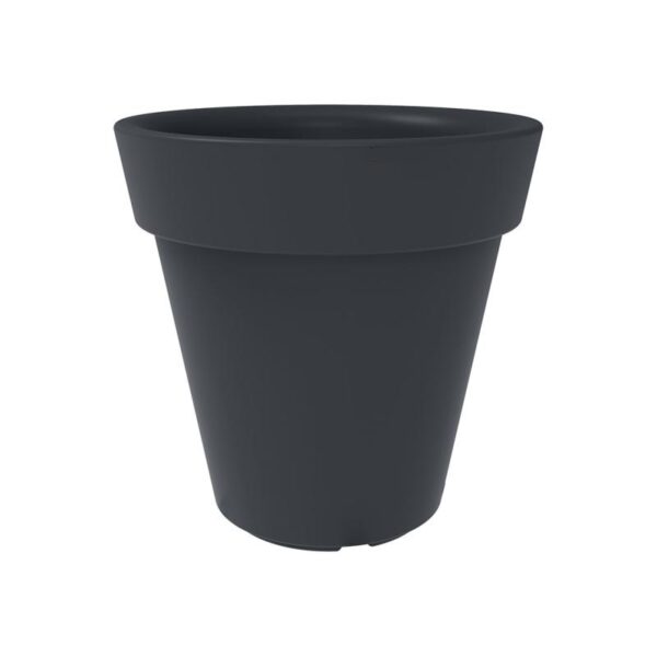 Trendplant - Bilde 18