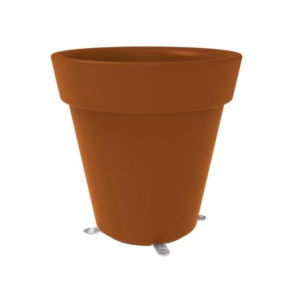 Trendplant - Bilde 2