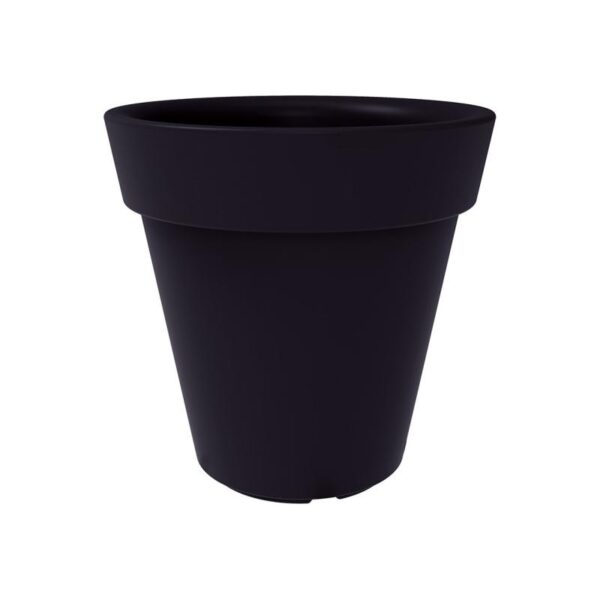 Trendplant - Bilde 19