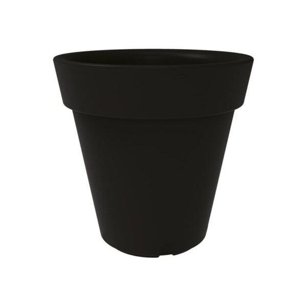 Trendplant - Bilde 3