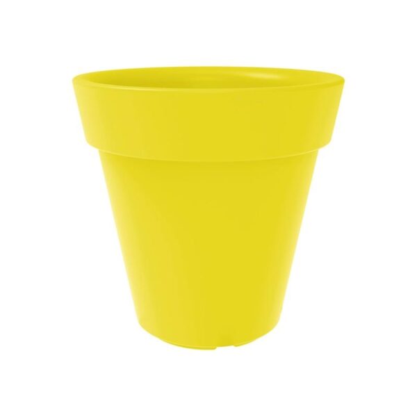 Trendplant - Bilde 4