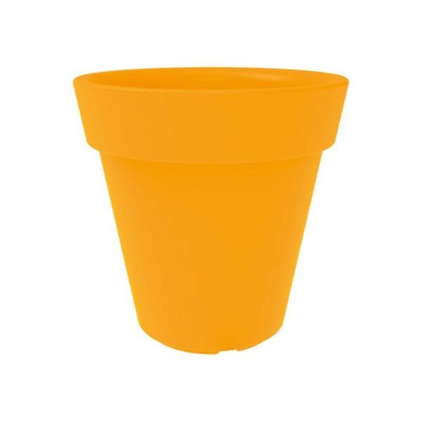 Trendplant - Bilde 5
