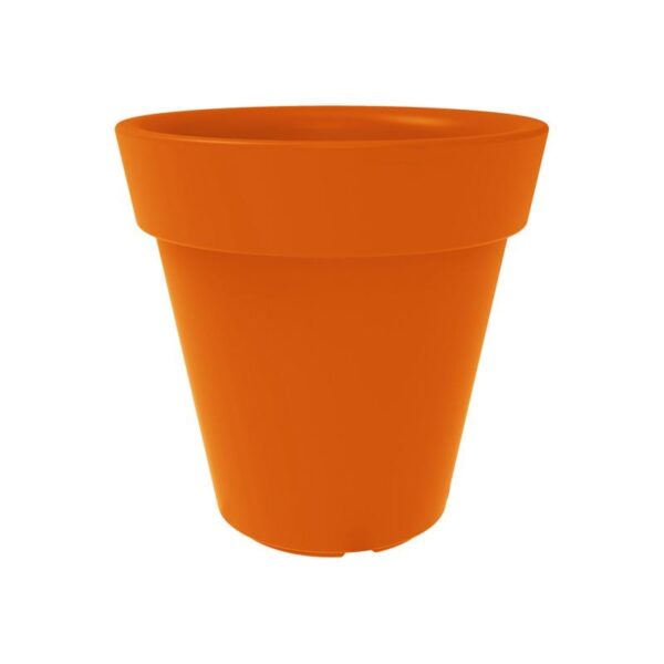 Trendplant - Bilde 6