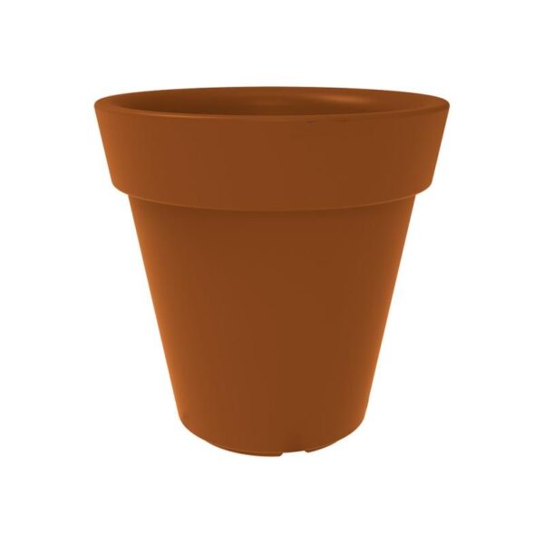 Trendplant - Bilde 7